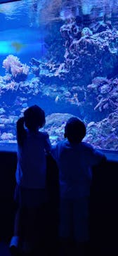 サンシャイン水族館に投稿された画像（2025/8/25）