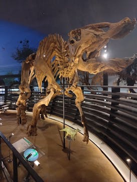 福井県立恐竜博物館に投稿された画像（2025/8/25）