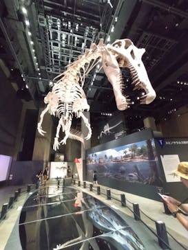 福井県立恐竜博物館に投稿された画像（2025/8/25）