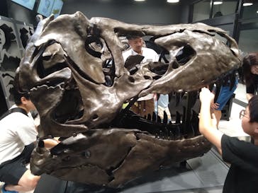 福井県立恐竜博物館に投稿された画像（2025/8/25）