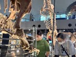 福井県立恐竜博物館に投稿された画像（2025/8/25）