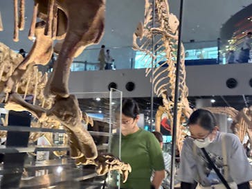 福井県立恐竜博物館に投稿された画像（2025/8/25）