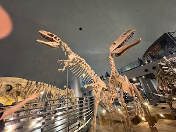 福井県立恐竜博物館に投稿された画像（2025/8/25）