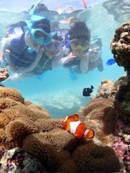 初心者専門宮古島シュノーケリングツアーに投稿された画像（2025/8/25）