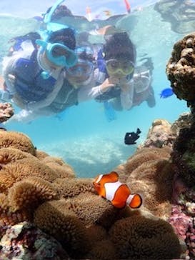 初心者専門宮古島シュノーケリングツアーに投稿された画像（2025/8/25）