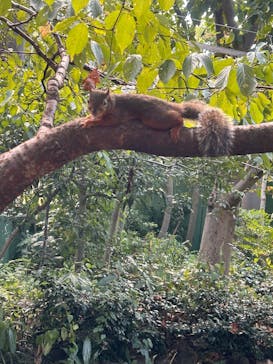 名古屋市東山動植物園に投稿された画像（2025/8/25）