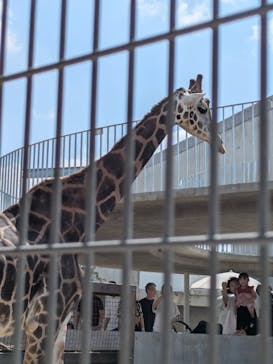 霞ケ浦 どうぶつとみんなのいえに投稿された画像（2025/8/25）