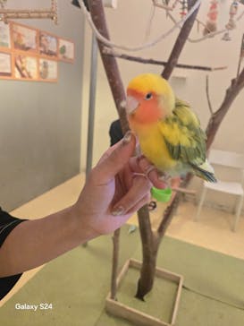 Moff animal cafe イオンモール幕張新都心店に投稿された画像（2025/8/25）