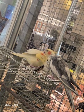 Moff animal cafe イオンモール幕張新都心店に投稿された画像（2025/8/25）