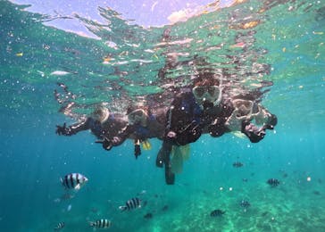 武藤潜水に投稿された画像（2025/8/25）