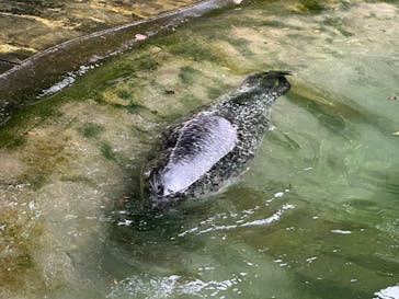 那須どうぶつ王国に投稿された画像（2025/8/25）