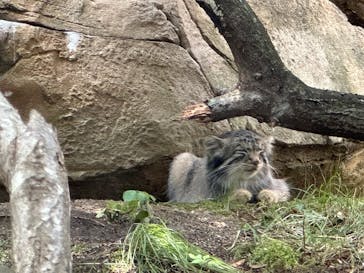 那須どうぶつ王国に投稿された画像（2025/8/25）