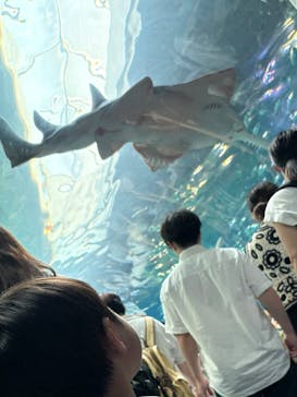 マクセル アクアパーク品川に投稿された画像（2025/8/25）