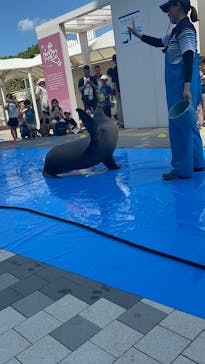 マリンワールド海の中道に投稿された画像（2025/8/25）