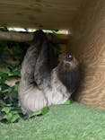 しろとり動物園に投稿された画像（2025/8/25）