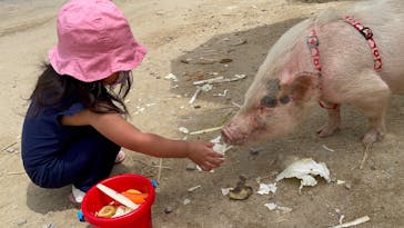 しろとり動物園に投稿された画像（2025/8/25）