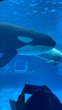 名古屋港水族館に投稿された画像（2025/8/25）
