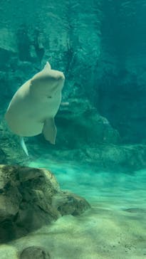 名古屋港水族館に投稿された画像（2025/8/25）