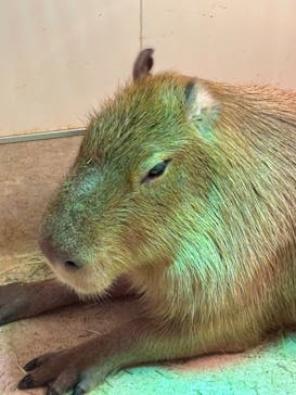 アニタッチららぽーと名古屋みなとアクルスに投稿された画像（2025/8/25）