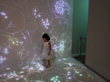 魔法の美術館 2025 光と遊ぶ超体験型ミュージアム ~この夏、美術館が魔法にかけられる~に投稿された画像（2025/8/25）