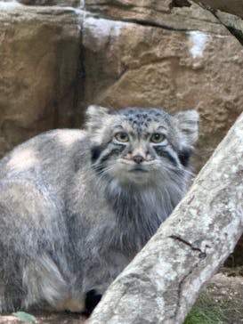 那須どうぶつ王国に投稿された画像（2025/8/25）