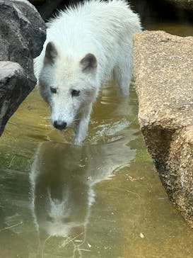 那須どうぶつ王国に投稿された画像（2025/8/25）