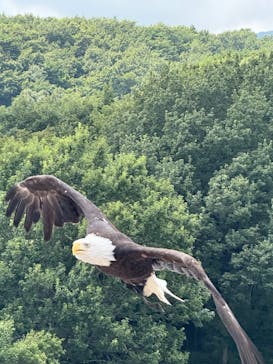 那須どうぶつ王国に投稿された画像（2025/8/25）