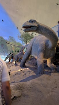 福井県立恐竜博物館に投稿された画像（2025/8/25）