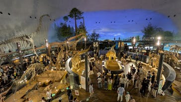 福井県立恐竜博物館に投稿された画像（2025/8/25）