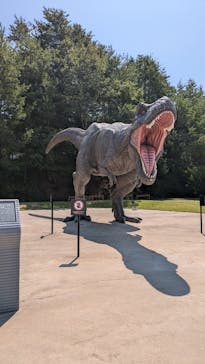 福井県立恐竜博物館に投稿された画像（2025/8/25）