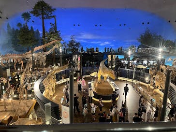 福井県立恐竜博物館に投稿された画像（2025/8/25）