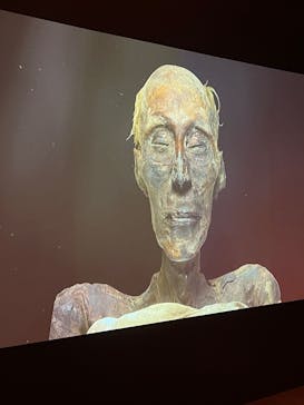 ACN ラムセス大王展 ファラオたちの黄金に投稿された画像（2025/8/25）