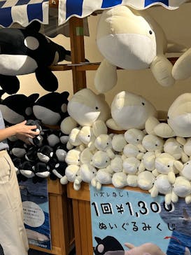 名古屋港水族館に投稿された画像（2025/8/25）