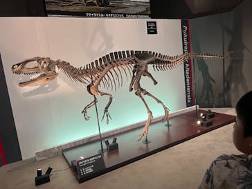 福井県立恐竜博物館に投稿された画像（2025/8/25）