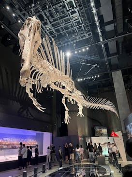 福井県立恐竜博物館に投稿された画像（2025/8/25）