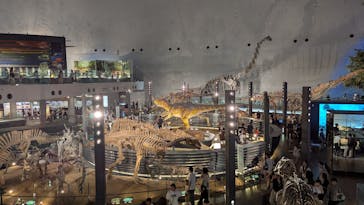 福井県立恐竜博物館に投稿された画像（2025/8/25）