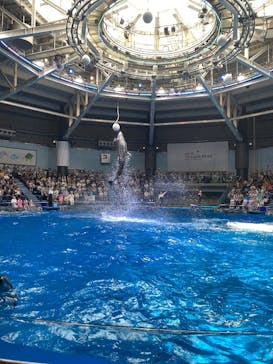 マクセル アクアパーク品川に投稿された画像（2025/8/25）