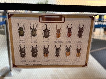 JOYPOLIS 特別イベントスペースに投稿された画像（2025/8/25）