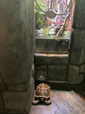 体感型動物園iZooに投稿された画像（2025/8/25）