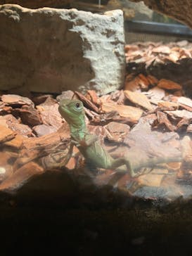 体感型動物園iZooに投稿された画像（2025/8/25）