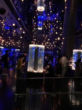 マクセル アクアパーク品川に投稿された画像（2025/8/25）