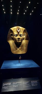 ACN ラムセス大王展 ファラオたちの黄金に投稿された画像（2025/8/25）