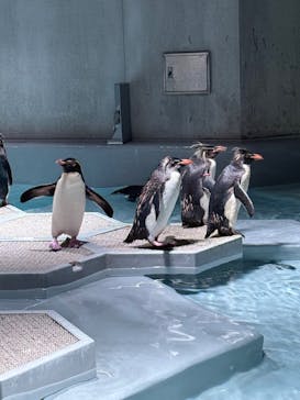 AOAO SAPPOROに投稿された画像（2025/8/25）