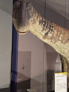 巨大恐竜展2025に投稿された画像（2025/8/25）