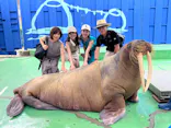 ゼロ距離水族館 伊勢シーパラダイスに投稿された画像（2025/8/25）