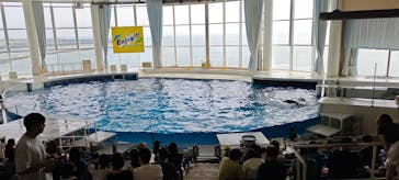 アクアワールド茨城県大洗水族館に投稿された画像（2025/8/25）