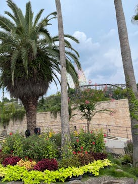 ひらかたパークに投稿された画像（2025/8/25）