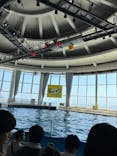 アクアワールド茨城県大洗水族館に投稿された画像（2025/8/25）