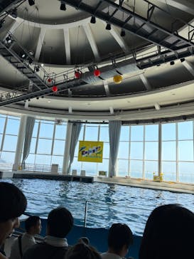 アクアワールド茨城県大洗水族館に投稿された画像（2025/8/25）