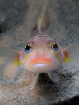 竹島水族館に投稿された画像（2025/8/25）